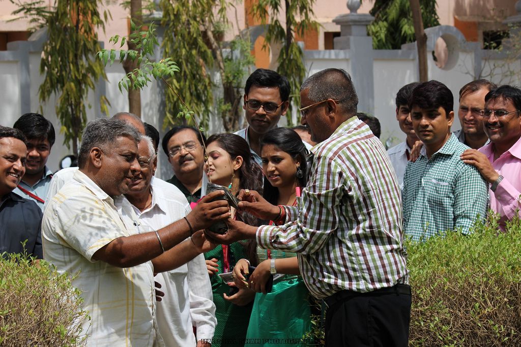 Tree Plantation